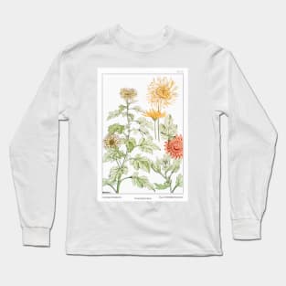 Chrysanthemum (1896) Long Sleeve T-Shirt